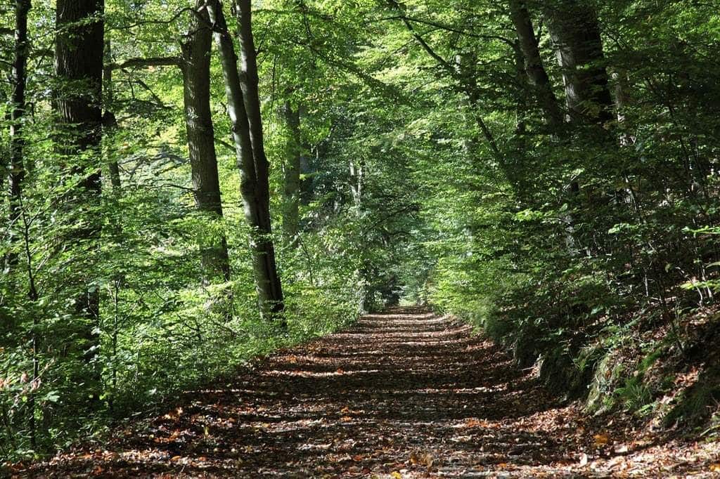 Que faire à Landerneau et dans les environs ?